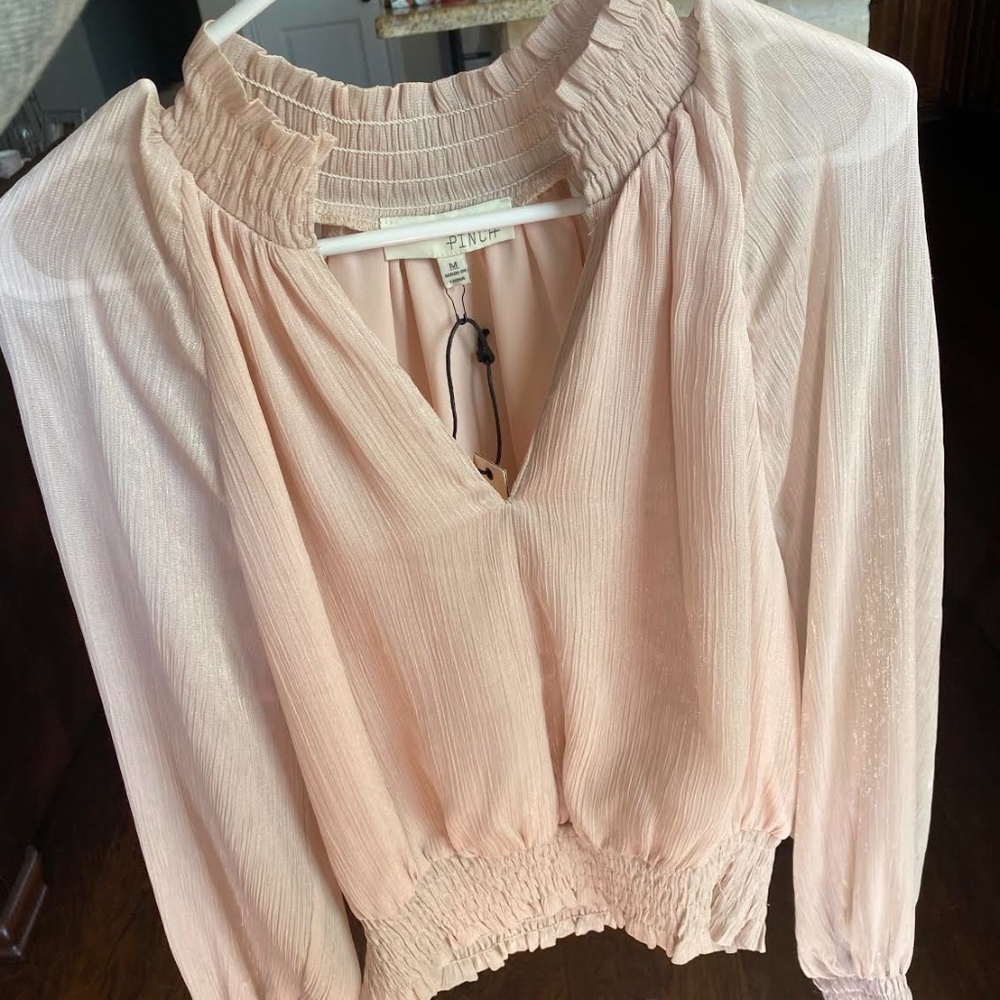 Light Pink Shimmery Long Sleeve Blouse